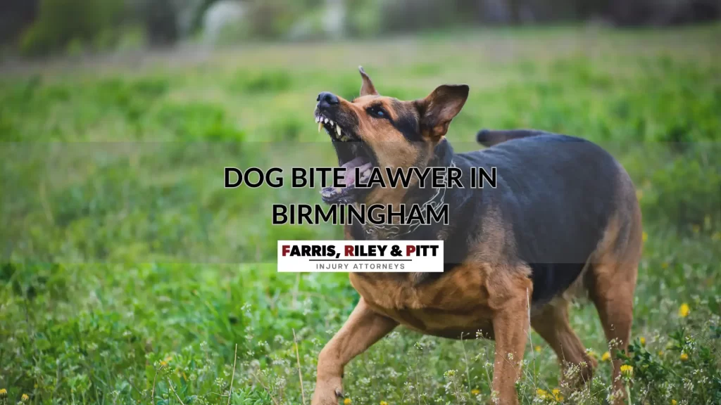 DOG BITE LAWYER IN BIRMINGHAM